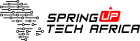 SpringUpTechAfrica Limited